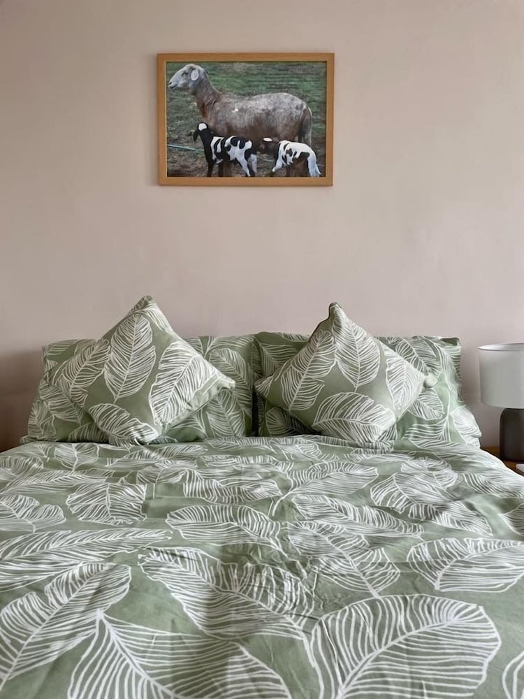 Standard Double or Twin Room photo 3