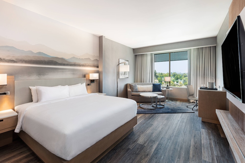 Room, 1 King Bed with Sofa bed