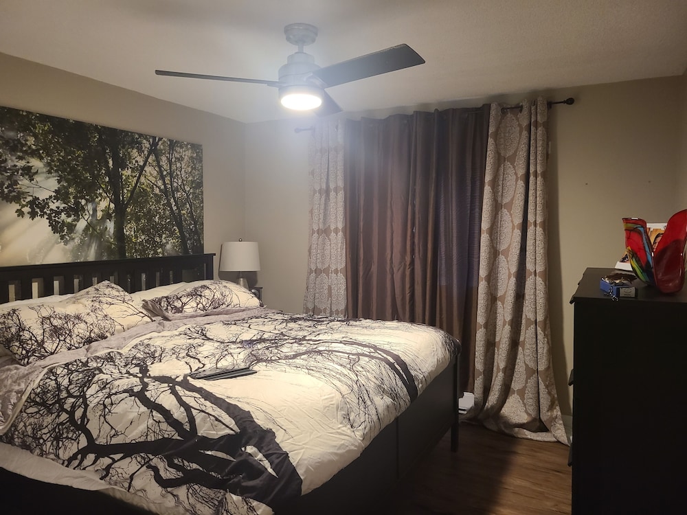 Basic Room, 1 King Bed, Non Smoking photo 1