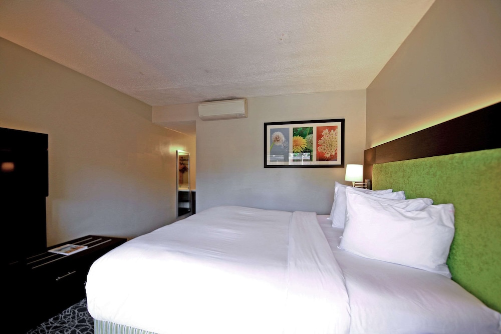 Standard Room, 1 King Bed, Non Smoking - Photo 13