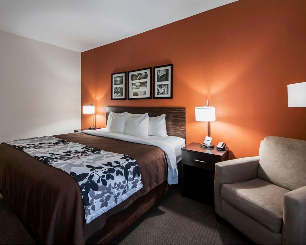 Room, 1 King Bed, Accessible, Non Smoking photo 3