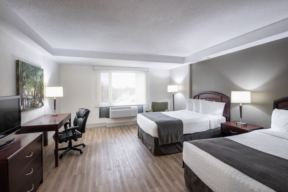 Deluxe Double Room photo 1