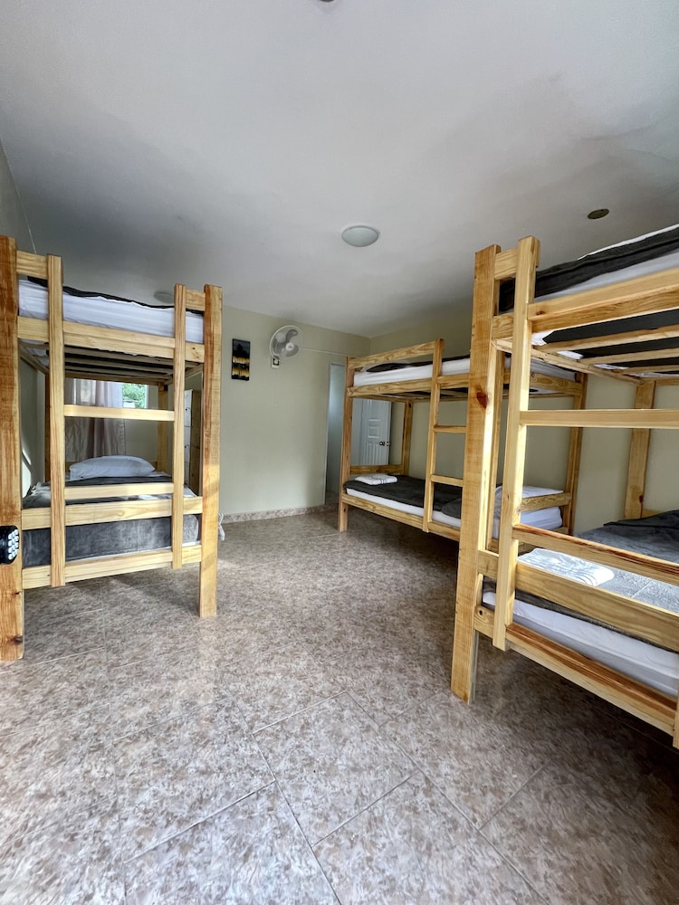 Basic Shared Dormitory photo 1