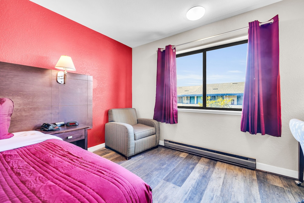 Standard Room, 1 King Bed photo 3