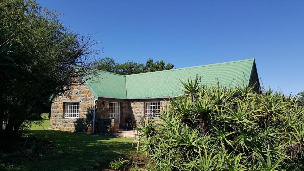 Cottage (Aloe) photo 2