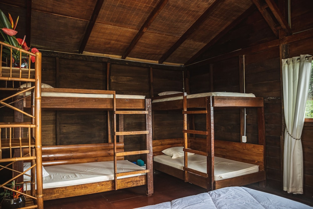Family Room, Multiple Beds photo 1