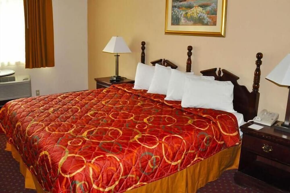 Room, 1 King Bed photo 1
