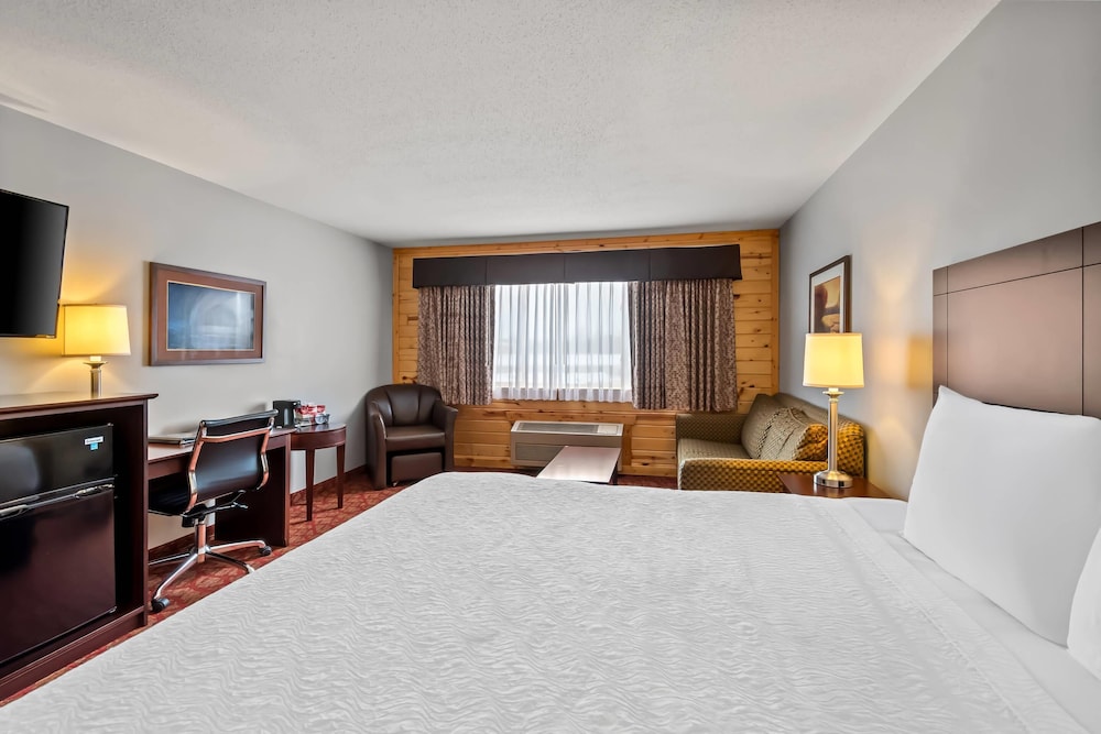 Standard Room, 1 King Bed with Sofa bed, Non Smoking photo 2