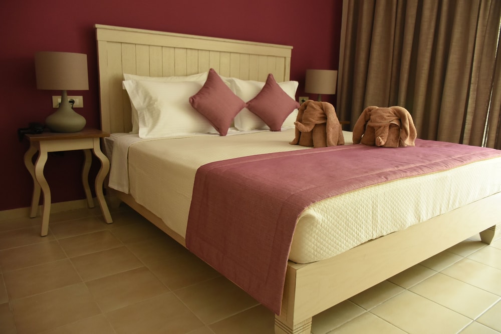 Deluxe Double Room Single Use photo 3