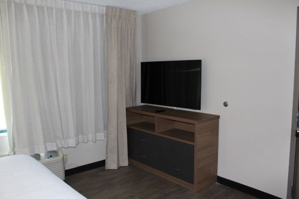 Studio Suite, 1 King Bed with Sofa bed - Photo 19