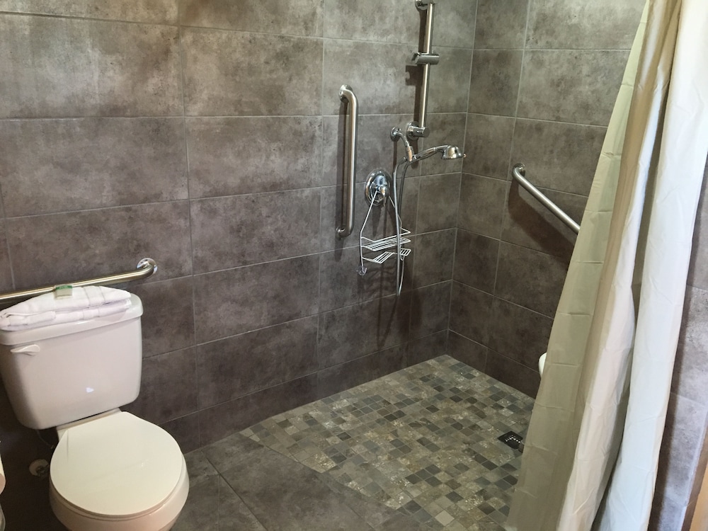 Premium Cabin, 1 King Bed, Accessible, Refrigerator & Microwave photo 3