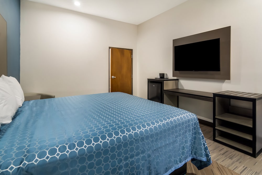 Room, 1 King Bed, Non Smoking photo 2