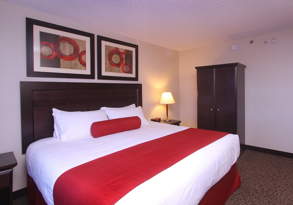 Suite, 1 Bedroom photo 3