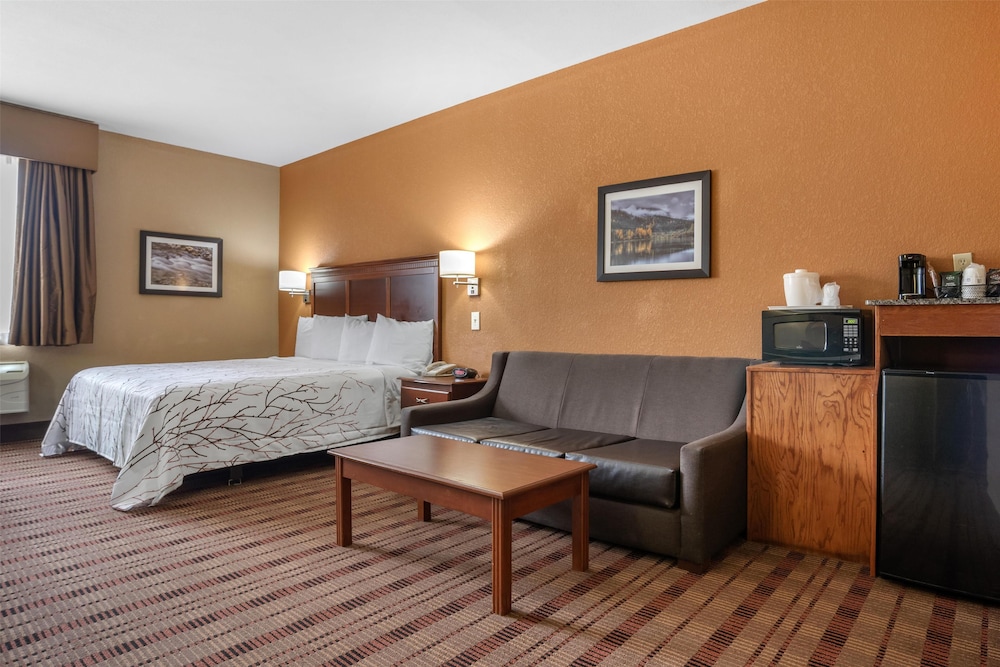 Suite, 1 King Bed, Accessible, Refrigerator & Microwave photo 2