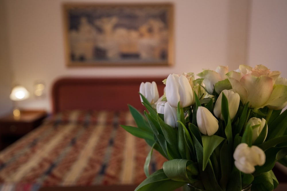 Classic Suite, 1 Bedroom, Jetted Tub, Park View