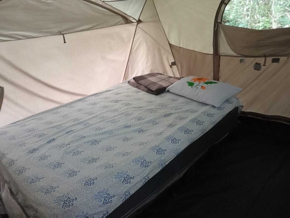 Tent, 2 Queen Beds photo 2