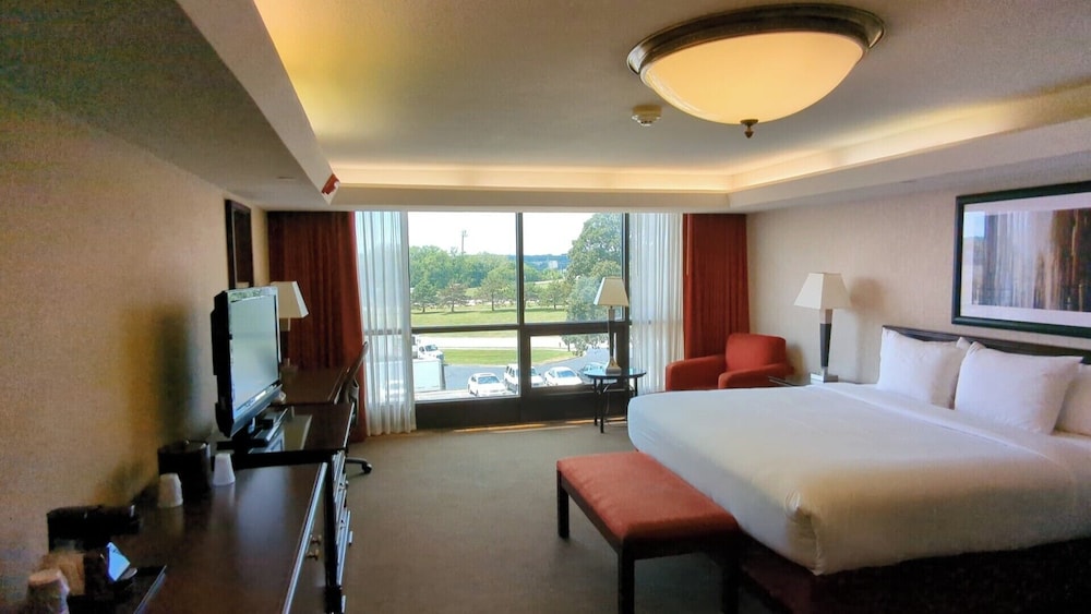 Suite, 1 King Bed with Sofa bed - Photo 1