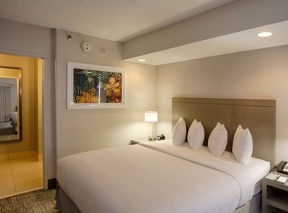 Suite, 1 Bedroom, Mountain View - Photo 2