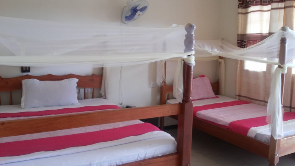 Deluxe Twin Room photo 1