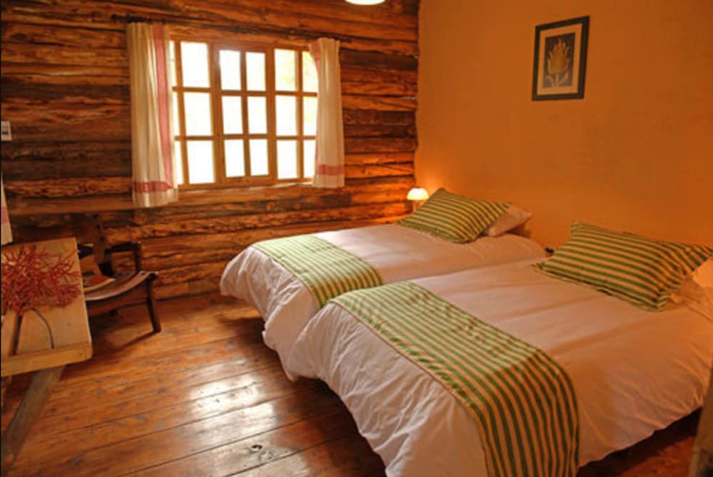 Family Cabin, Multiple Beds photo 3