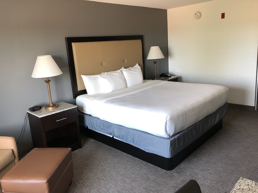 Standard Room, 1 King Bed, Non Smoking - Photo 6