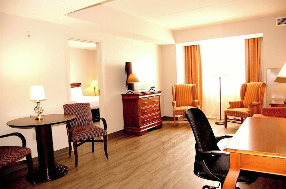 Executive Suite, 1 King Bed with Sofa bed