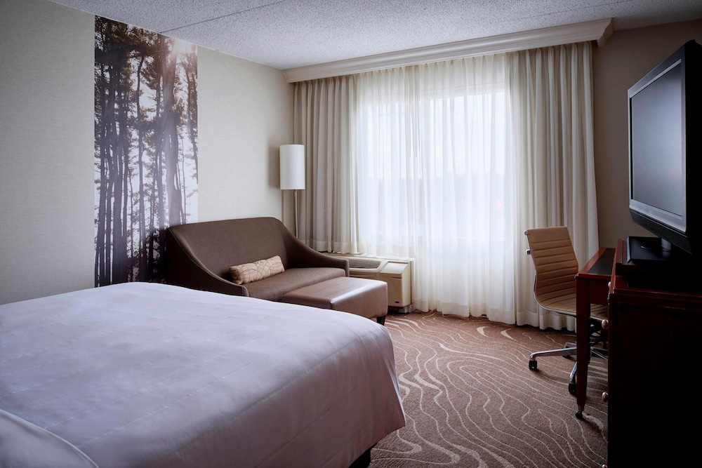Room, 1 King Bed (Mobility Accessible, Roll-In Shower) photo 2
