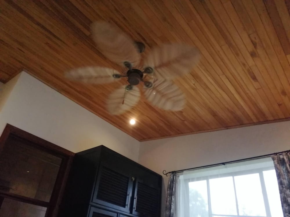 Luxury Single Room photo 2