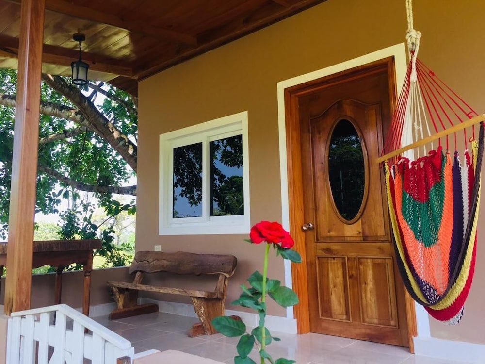 Classic Room, Terrace, Courtyard Area photo 1