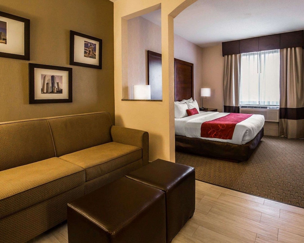 Suite (1 King bed and 1 Sofabed) photo 3