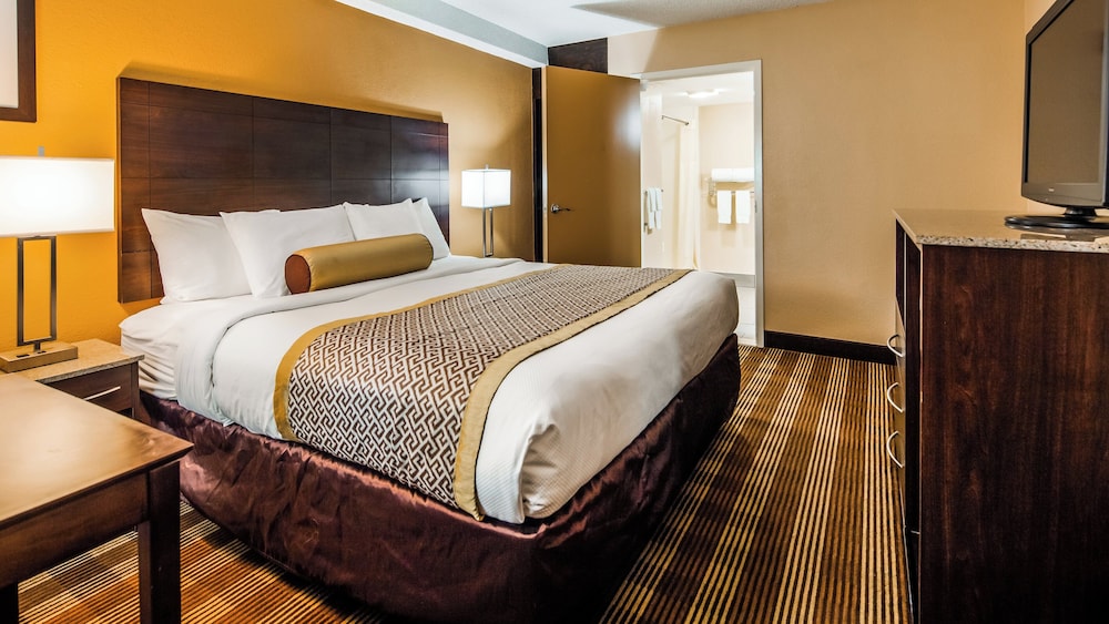 Suite, 1 King Bed - Photo 1