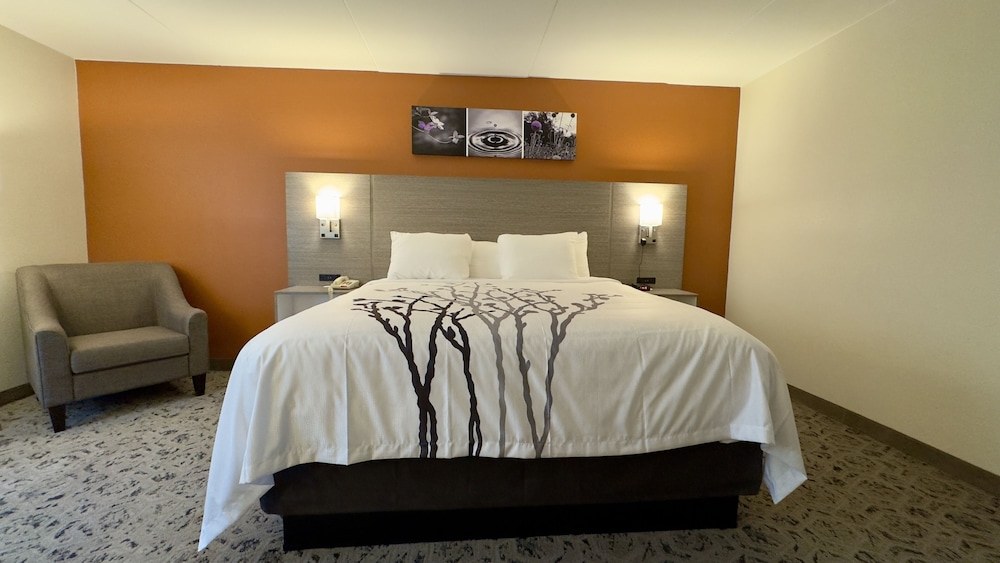 Superior Room, 1 King Bed photo 2