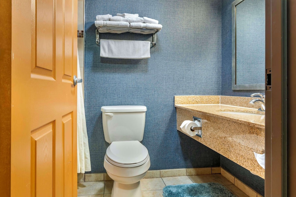 Suite, 1 King Bed, Non Smoking, Jetted Tub - Photo 4