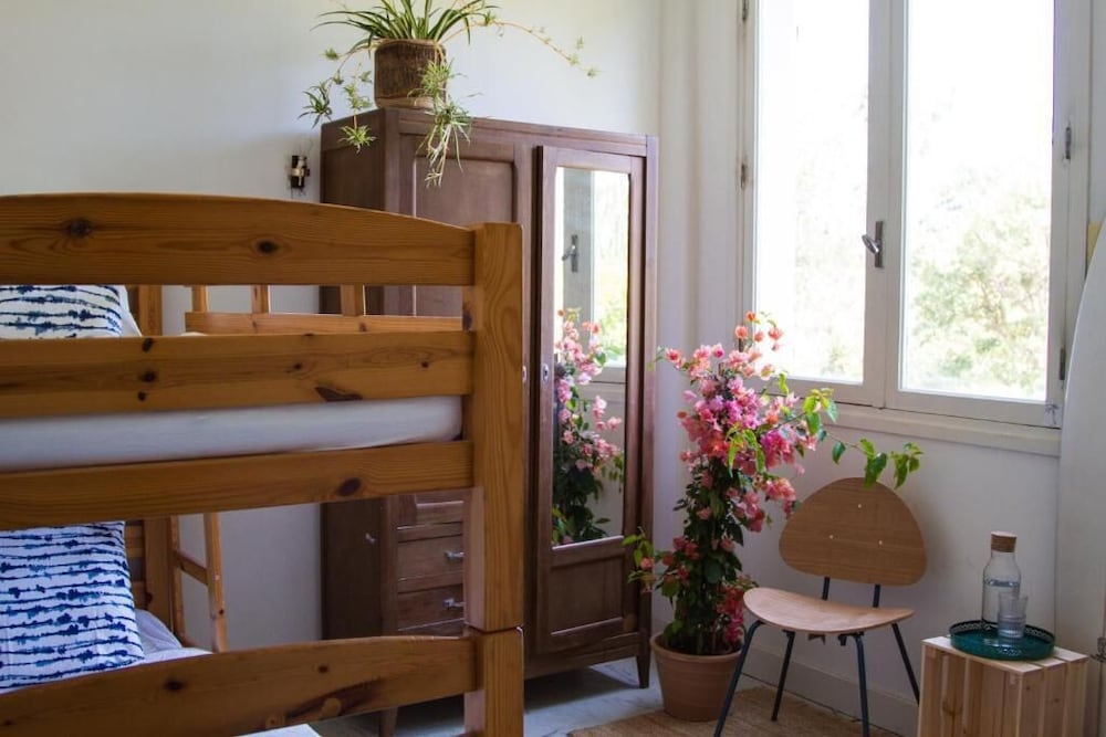 Basic Shared Dormitory, Mixed Dorm, Pets Not Allowed, Garden Area (Supertube)