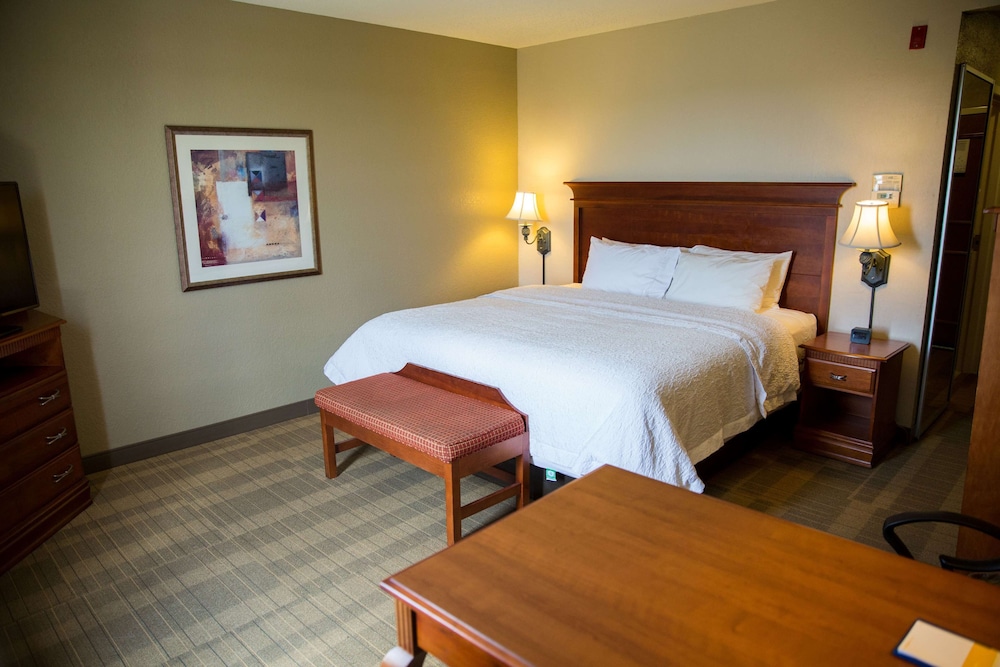 Room, 1 King Bed, Accessible - Photo 4