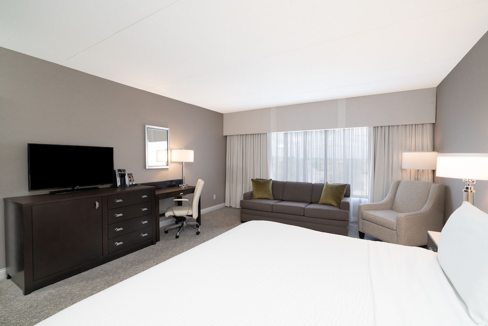 Standard Room, 1 King Bed with Sofa bed