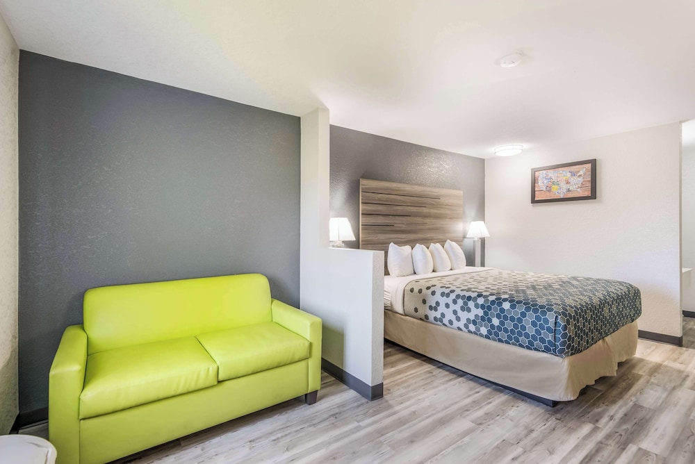 Suite, 1 King Bed photo 3