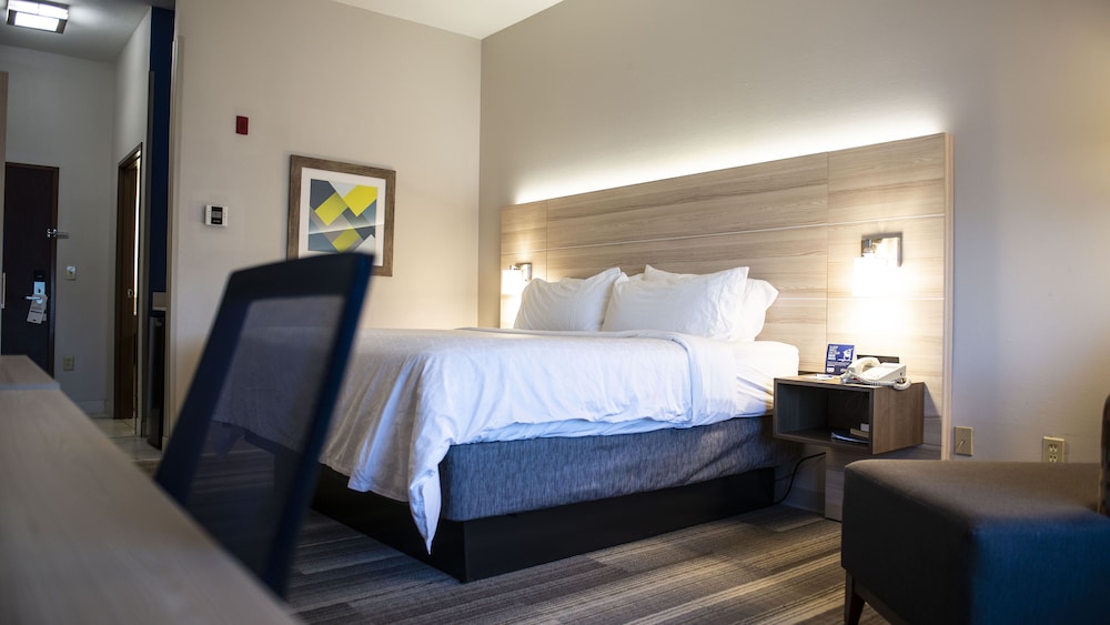 Suite, 1 King Bed, Accessible (Communications Accessible) - Photo 4