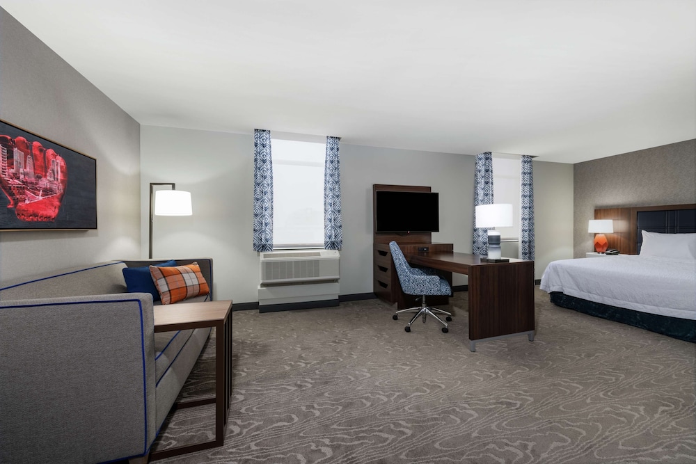 Suite, 1 King Bed, Accessible, Bathtub (Mobility & Hearing) - Photo 5