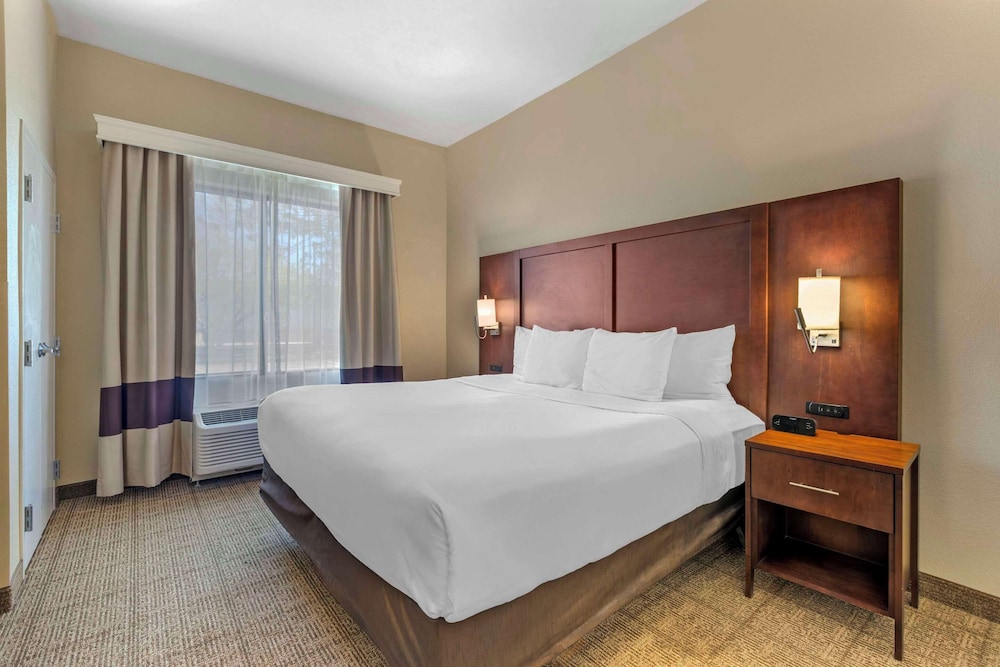 Suite, 1 King Bed, Accessible, Non Smoking (Roll-In Shower) - Photo 1