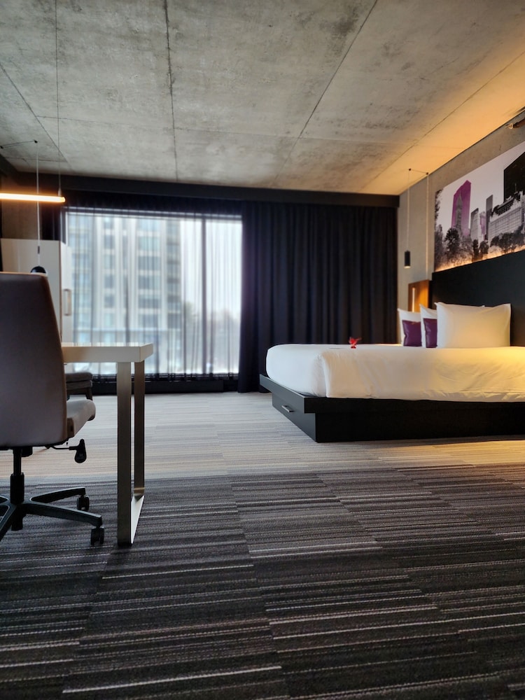 Superior Suite, King - Photo 3