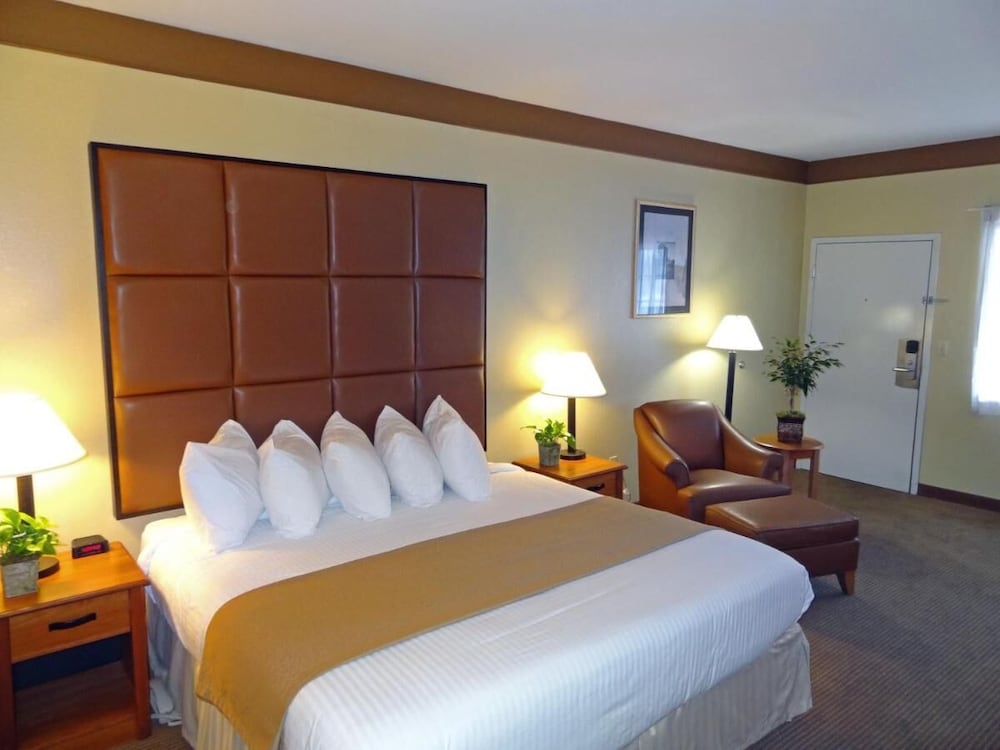 Comfort Single Room photo 2