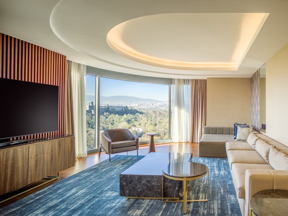 Junior Suite, 1 King Bed, Park View