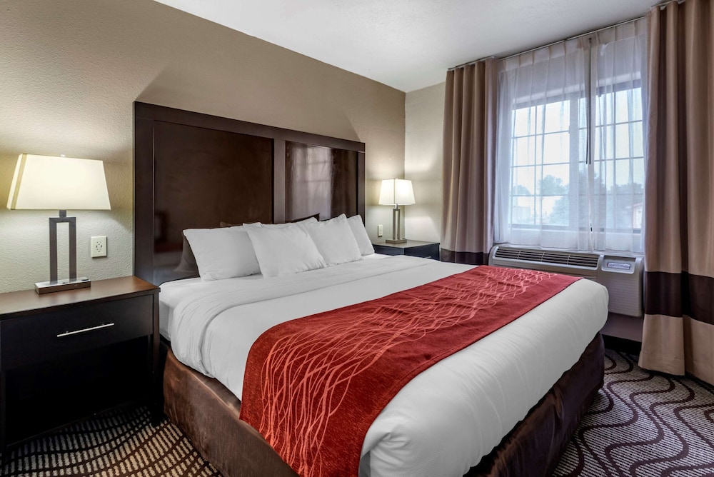 Suite, 1 King Bed