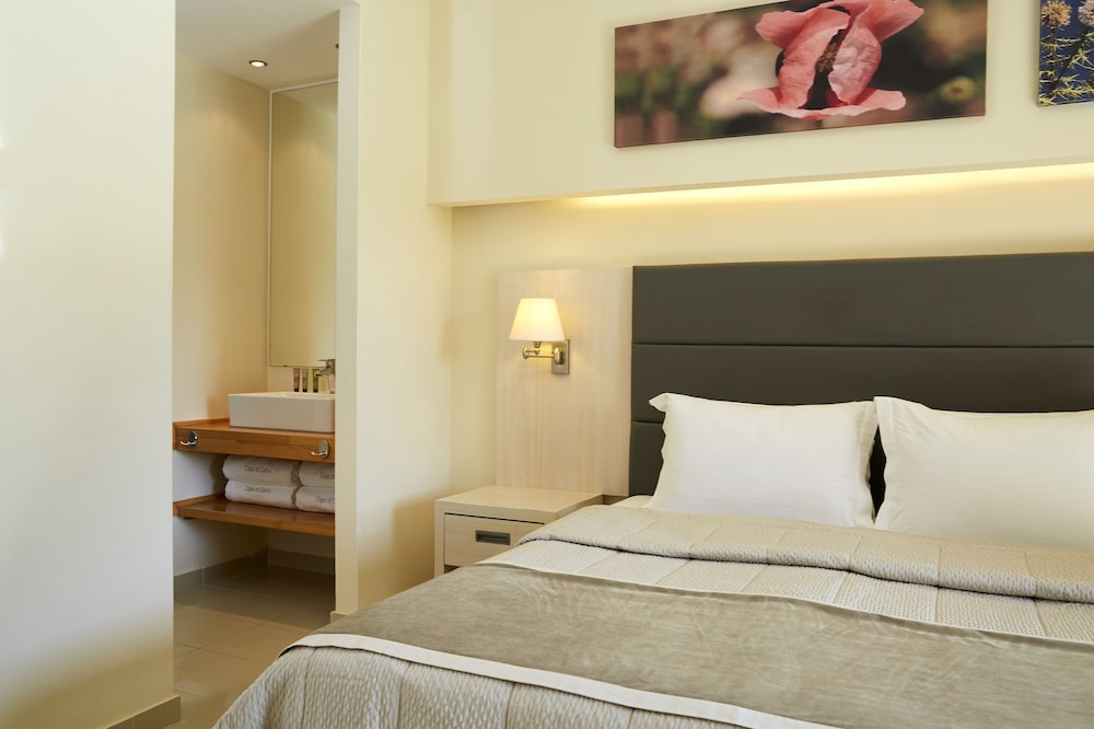 Superior Double Or Twin Room, Garden View photo 3
