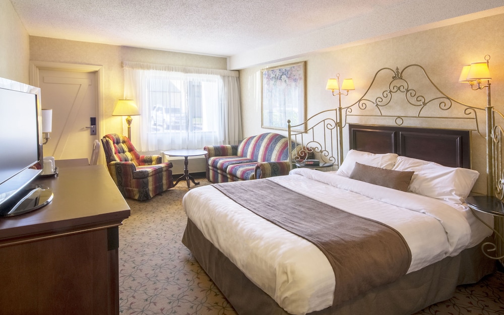 Economy Room, 1 Queen Bed with Sofa bed photo 1