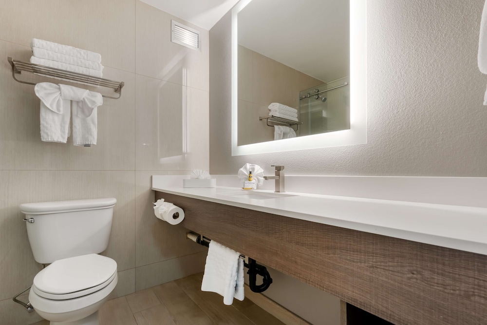 Suite, 1 King Bed, Non Smoking, Refrigerator & Microwave (With Sofabed) - Photo 7