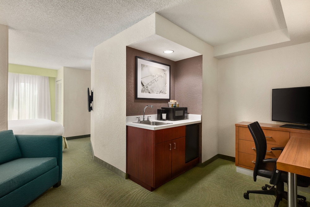 Studio Suite, 1 King Bed (Mobility Accessible, Roll-in Shower) - Photo 5