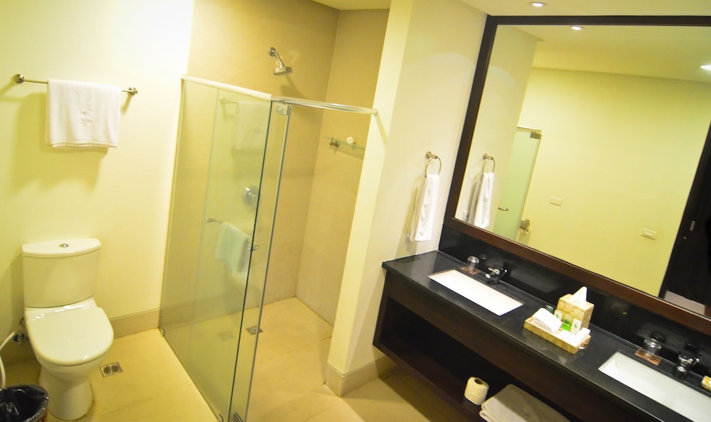 Deluxe Single Room photo 3