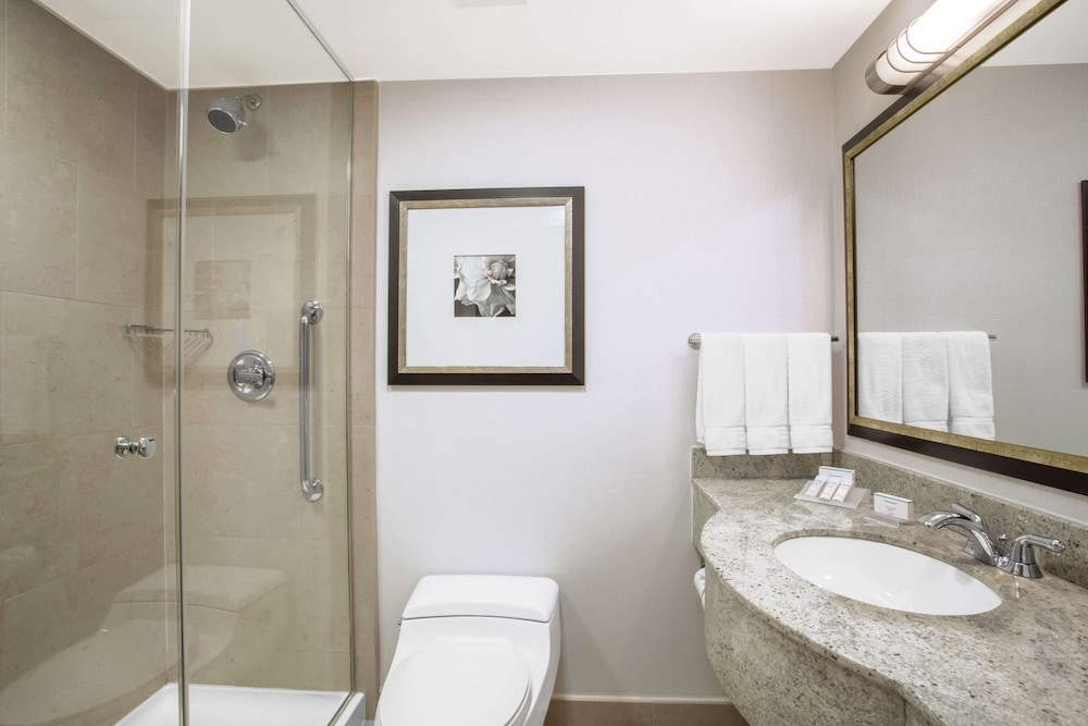 Room, 1 King Bed, Accessible (Roll-in Shower)
